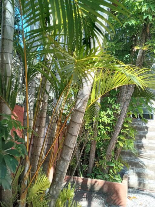 Apartamento Hospedagem Canto Das Pedras
